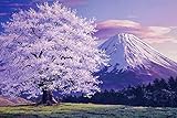 DLMHKA Kreuzstich Stickpackung Mount Fuji und Kirschblüten 11CT Stickbild Stickvorlage Vorgedruckt Stickset für Anfänger Home Decor 40x50cm