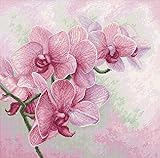 Kreuzstich-Set Luca-S - Graceful Orchids B7009